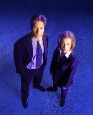 The X Files movie poster (1993) puzzle MOV_25441e2f