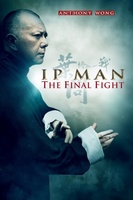 Ip Man: The Final Fight movie poster (2013) t-shirt #1125214