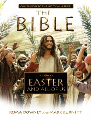 The Bible movie poster (2013) Poster MOV_2769a694