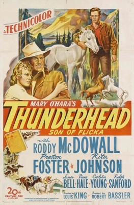 Thunderhead - Son of Flicka movie poster (1945) wood print