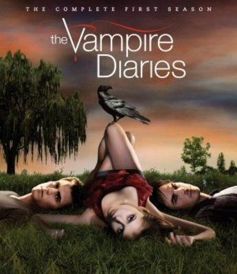 The Vampire Diaries movie poster (2009) puzzle MOV_2c5d082c