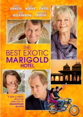 The Best Exotic Marigold Hotel movie poster (2011) puzzle MOV_2e6bb885