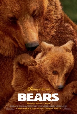 Bears movie poster (2014) wooden framed poster