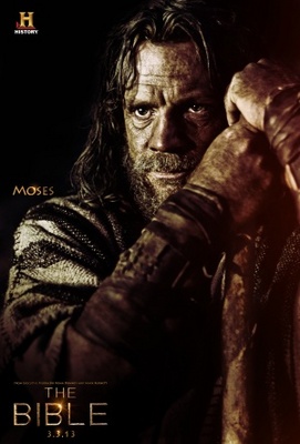 The Bible movie poster (2013) Poster MOV_2f7f1d4b