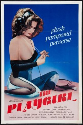 The Playgirl movie poster (1982) metal framed poster