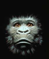 Congo movie poster (1995) sweatshirt #651808