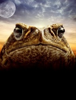 Cane Toads: The Conquest movie poster (2009) t-shirt #722839