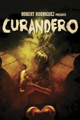 Curandero movie poster (2005) metal framed poster