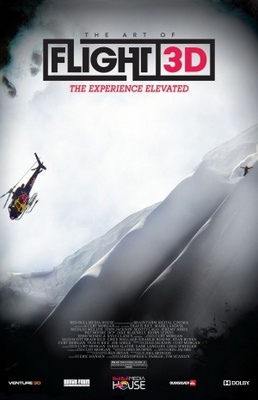 The Art of Flight movie poster (2011) poster with hanger