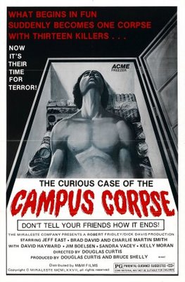 The Hazing movie poster (1977) poster