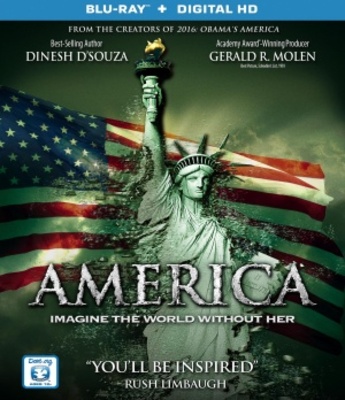 America movie poster (2014) wood print