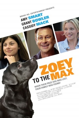 Zoey to the Max movie poster (2015) metal framed poster