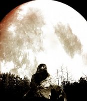 The Wolfman movie poster (2010) hoodie #709162
