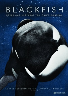 Blackfish movie poster (2013) canvas poster