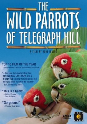 The Wild Parrots of Telegraph Hill movie poster (2003) magic mug #MOV_36cfbe2d