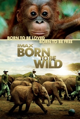 Born to Be Wild movie poster (2011) puzzle MOV_390469b6