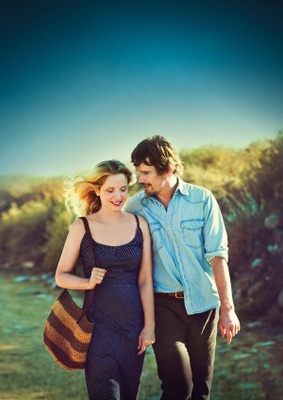Before Midnight movie poster (2013) poster with hanger