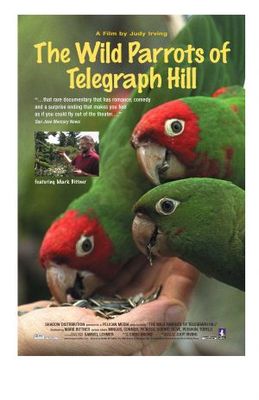 The Wild Parrots of Telegraph Hill movie poster (2003) mouse pad