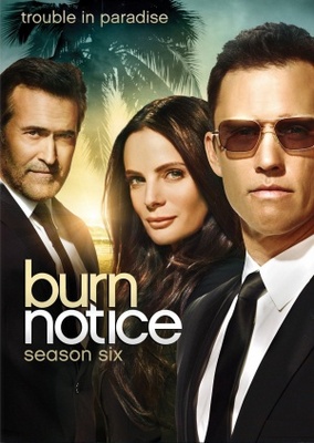 Burn Notice movie poster (2007) wooden framed poster