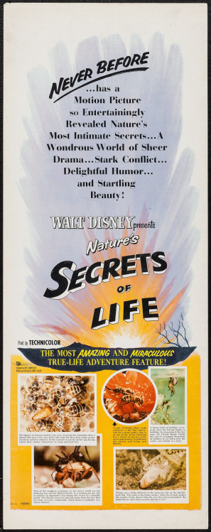 Secrets of Life movie poster (1956) wood print