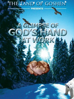 A Glimpse of GOD'S Hand at Work movie poster (2010) Poster MOV_40bc4bfb