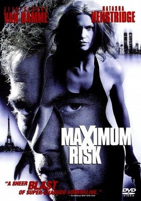 Maximum Risk movie poster (1996) metal framed poster