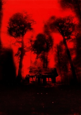 Cabin Fever movie poster (2002) metal framed poster