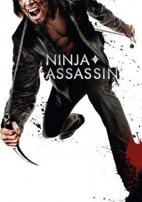 Ninja Assassin movie poster (2009) canvas poster