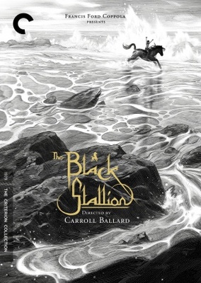 The Black Stallion movie poster (1979) t-shirt