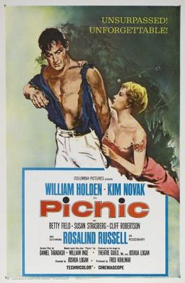 Picnic movie poster (1955) pillow
