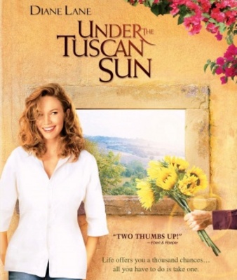 Under the Tuscan Sun movie poster (2003) wooden framed poster