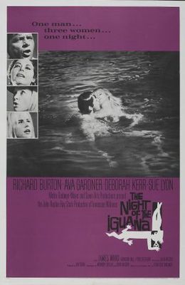 The Night of the Iguana movie poster (1964) hoodie