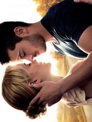 The Lucky One movie poster (2012) poster