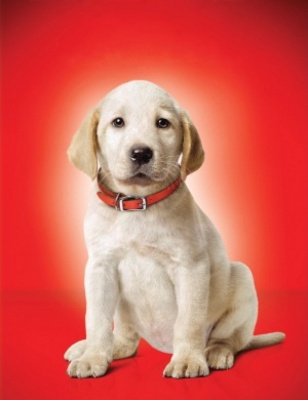 Marley & Me movie poster (2008) pillow