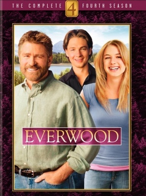 Everwood movie poster (2002) wooden framed poster