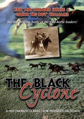 Black Cyclone movie poster (1925) metal framed poster