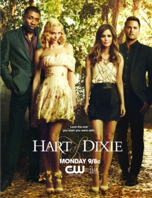 Hart of Dixie movie poster (2011) puzzle MOV_50965247