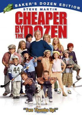 Cheaper by the Dozen movie poster (2003) poster with hanger