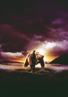 Grizzly Man movie poster (2005) t-shirt #1255457