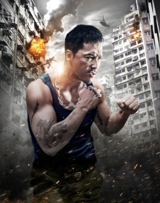 Te shu shen fen movie poster (2013) poster