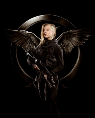 The Hunger Games: Mockingjay - Part 1 movie poster (2014) Poster MOV_52a48f3f