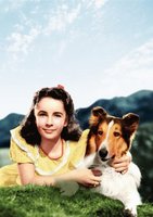Courage of Lassie movie poster (1946) magic mug #MOV_52a7a212
