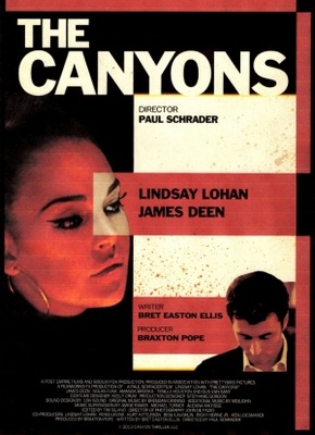 The Canyons movie poster (2013) wooden framed poster