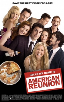 American Reunion movie poster (2012) pillow
