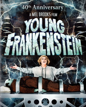 Young Frankenstein movie poster (1974) wood print