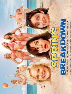 Spring Breakdown movie poster (2009) sweatshirt