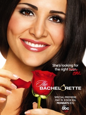 The Bachelorette movie poster (2003) wood print