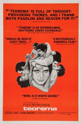 Teorema movie poster (1968) wood print