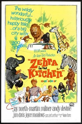 Zebra in the Kitchen movie poster (1965) wooden framed poster