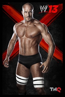 WWE '13 movie poster (2012) Stickers MOV_582ce2d3